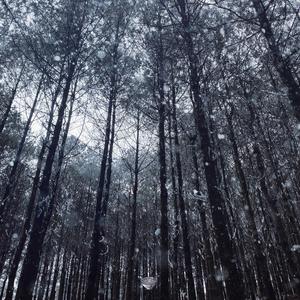 男女同网站freeviodes
