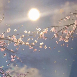 男女同网站freeviodes
