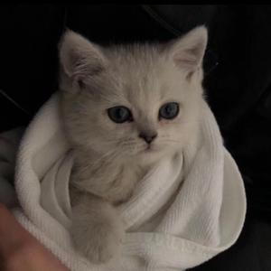 男女同网站freeviodes
