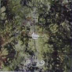 男女同网站freeviodes
